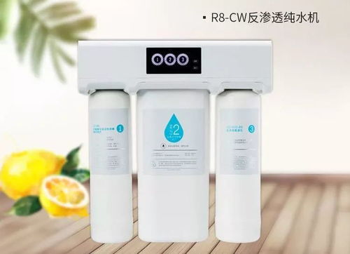 品質生活新篇章 精品家電與生活美容服務的完美融合